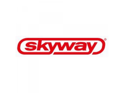 Лампа автомобильная Skyway St10hp-1wb r
